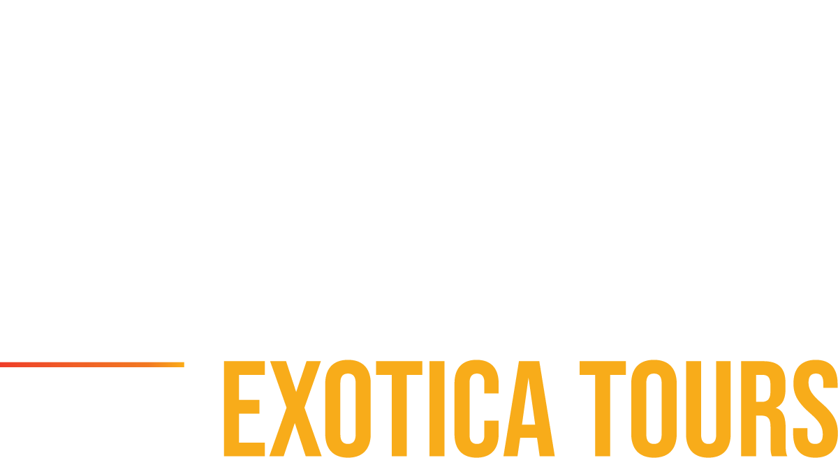 Africa Exotica Tours