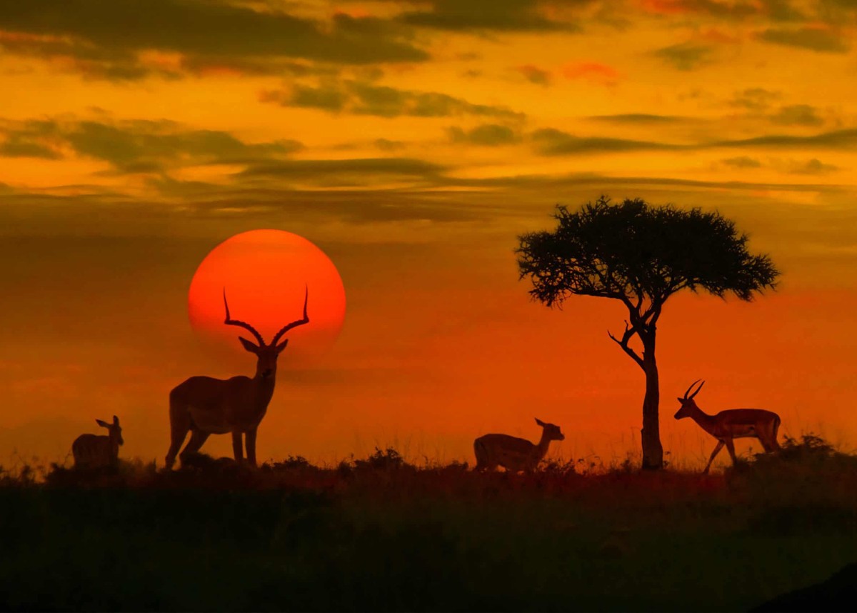 Kruger National Park