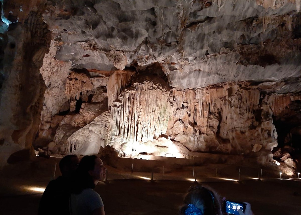 Cango Caves & Ostridge Farm