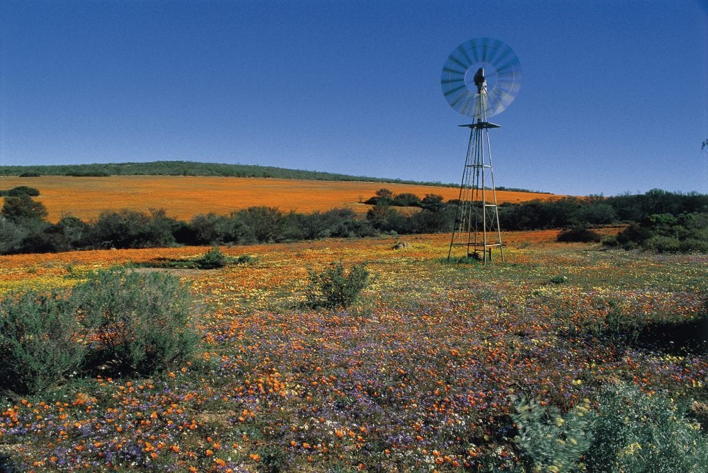 Luxury train journeying through the countryside