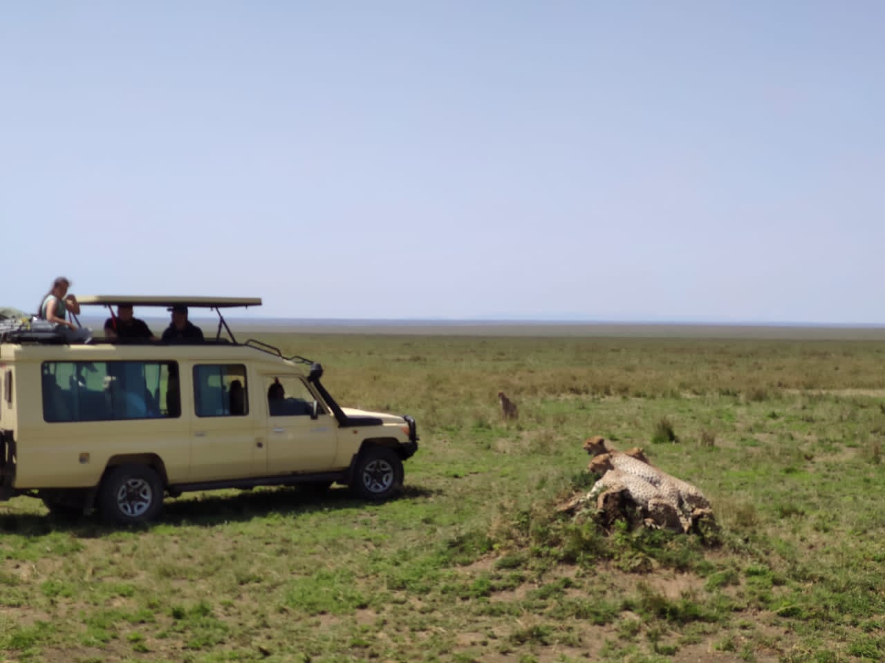 Tanzania Tour
