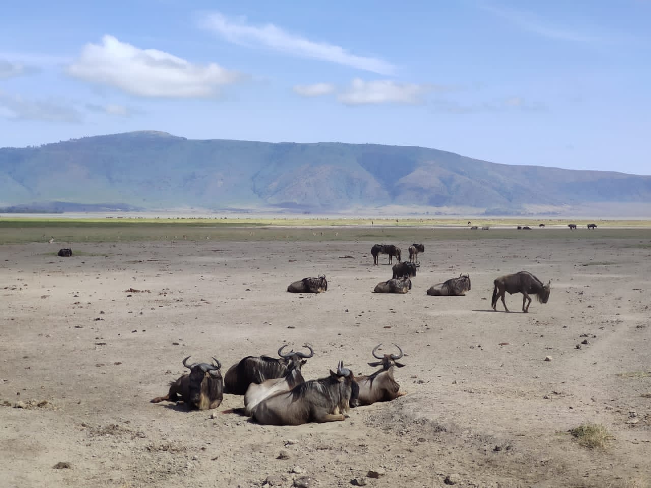 Tanzania Tour