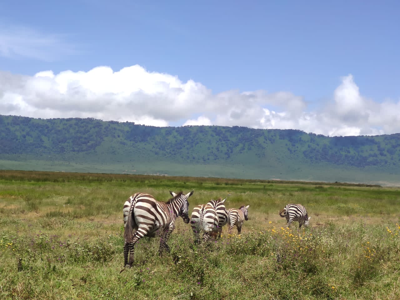 Tanzania Tour