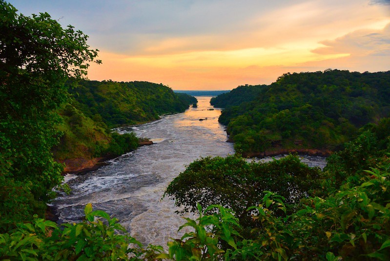 Transfer to Murchision Falls National Park via Zziwa Rhino Sanctuary for Rhino trekking on foot