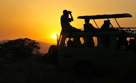 Game Drive and Boat Cruise on the Kazinga Channel