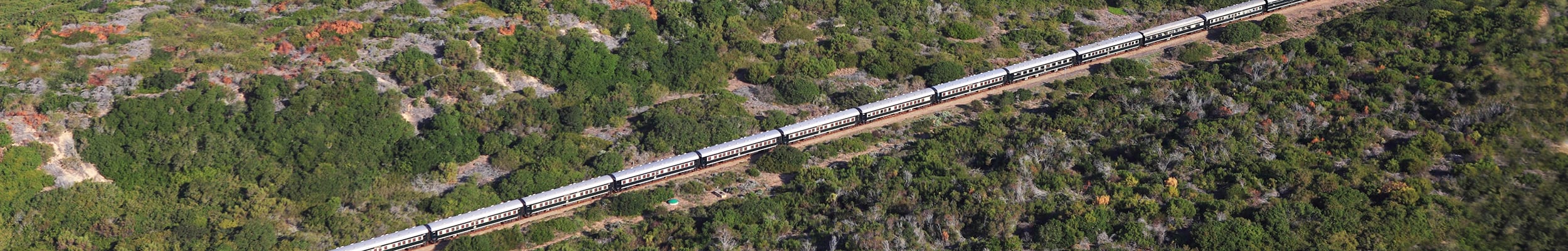 Luxury Train